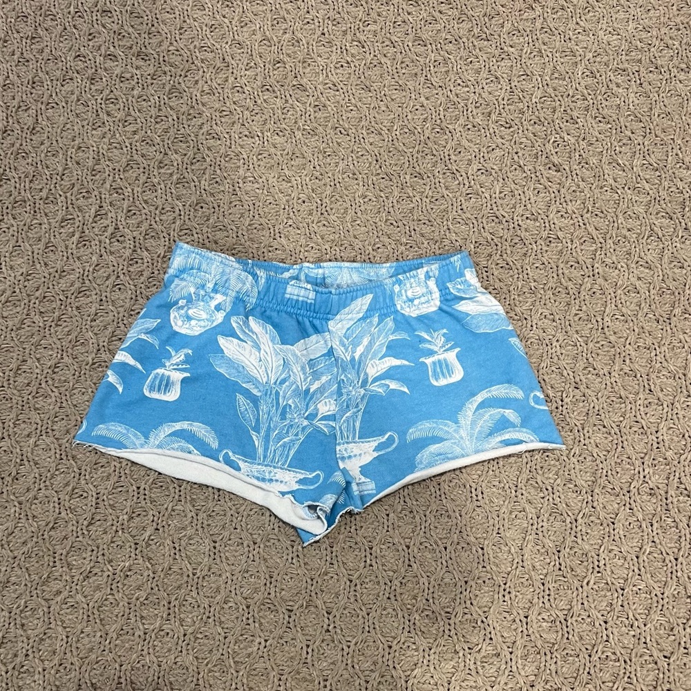 Pacsun shorts